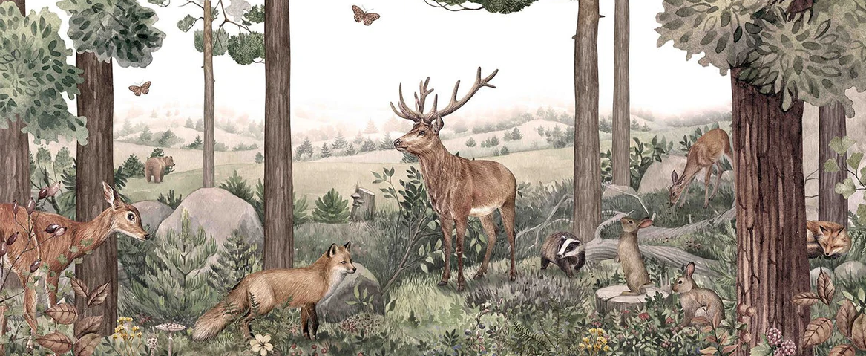 Papier peint bébé sentier sauvage