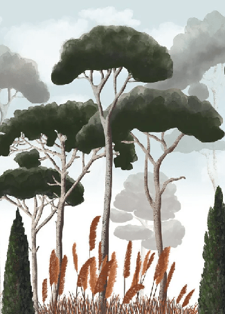 Papier peint sur mesure cyprès pins et herbes de la pampa - Muralconcept