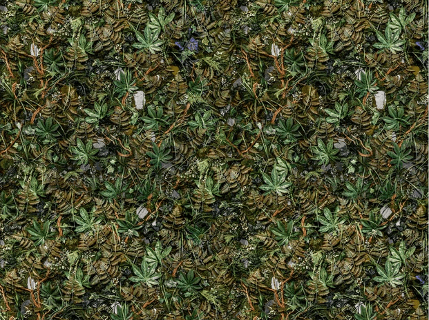 Papier peint panoramique trompe l'oeil mur végétal, XXL, tendance