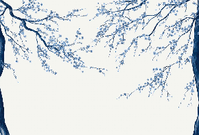 Papier peint panoramique fleur Sakura blanc - Muralconcept