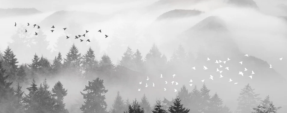 Carta da parati nebbia mistica montagna