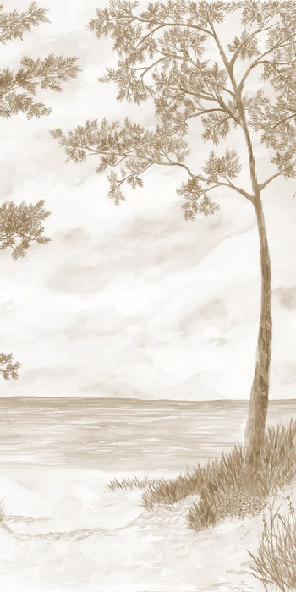 Papier peint Pins maritimes et dunes - Sépia - Muralconcept