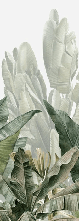 Papier peint panoramique bananier vert - Muralconcept