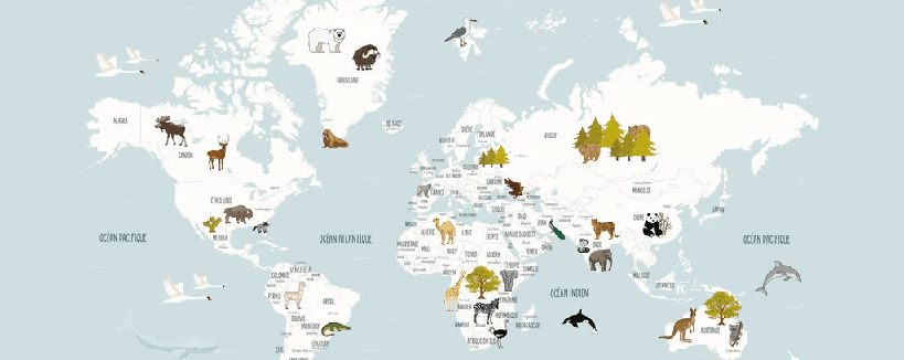 Papier peint Carte du monde en Francais enfant bleu glacier, XXL, tendance