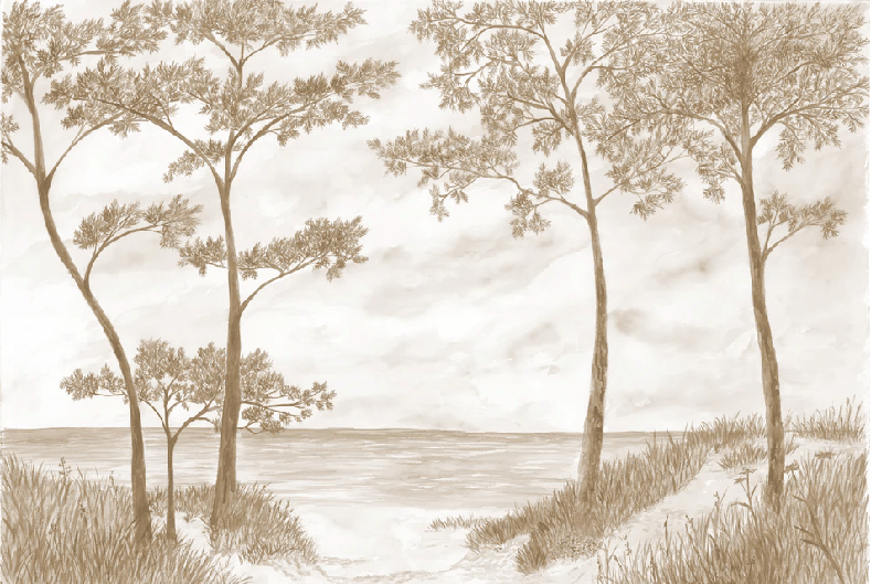 Papier peint Pins maritimes et dunes - Sépia - Muralconcept