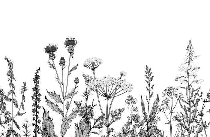 Papier peint botanique folk noir et blanc - Muralconcept