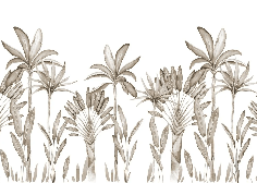 papier peint panoramique Palmier Sépia Aquarelle, XXL, tendance