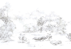 Papier peint forêt de pin aquarelle, XXL, tendance