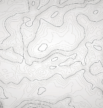 Topographic line wallpaper - Black and white - Muralconcept