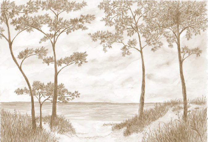 Papier peint Pins maritimes et dunes - Sépia - Muralconcept