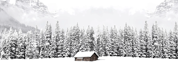 Papier peint panoramique chalet en montagne, XXL, tendance