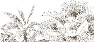 Papier peint tropical gravure monochrome - Muralconcept