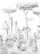 Papier peint style romain pinède, XXL, tendance