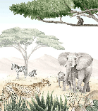 Papier peint enfant savane en peinture - Muralconcept