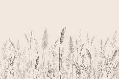 Papier peint panoramique prairie sauvage - Muralconcept