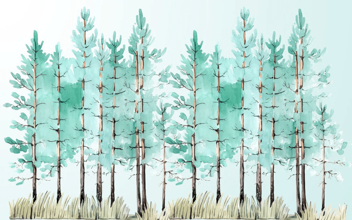 Papier peint Scandinave - Muralconcept