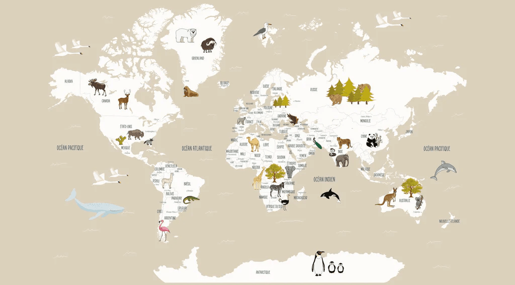Papier peint Carte du monde en Francais enfant beige - Muralconcept