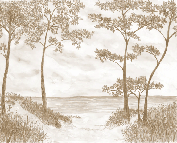 Papier peint Pins maritimes et dunes - Sépia - Muralconcept