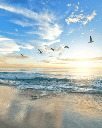 Papier peint Plage Paradisiaque - Muralconcept