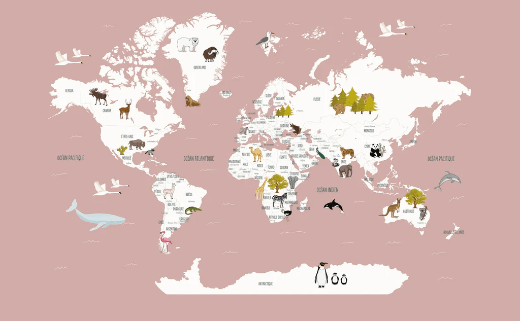 Carta da parati Mappa del mondo in francese per bambini rosa antico