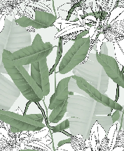 Nature foliage green flower NB wallpaper, XXL, tendance