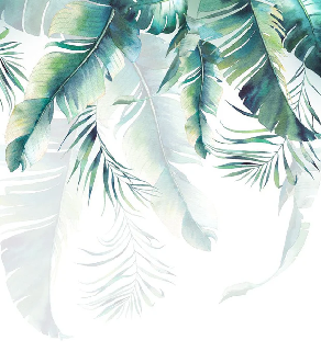 Papier peint Jungle & Scandinave style