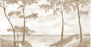 Maritime Pines and Dunes Wallpaper - Sepia - Muralconcept