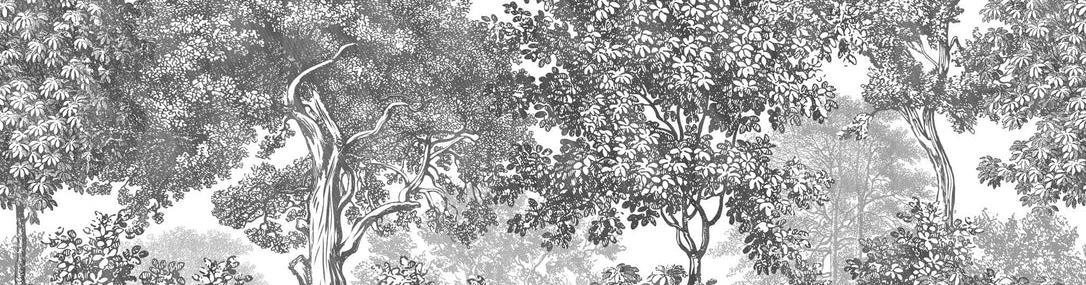 Papier peint paysage forêt gravure noir et blanc - Muralconcept