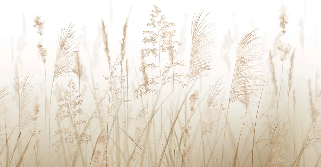 Carta da parati con fiori di campo e grano