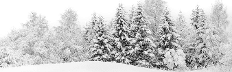 Papier peint panoramique évasion hivernale - Muralconcept