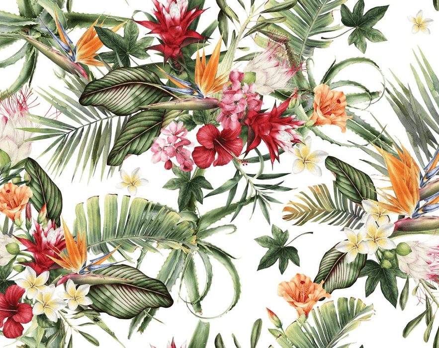 Papier peint tropical & Fleurs colorées, XXL, tendance