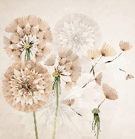 Papier peint fleur pissenlit, XXL, tendance