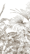 Papier peint tropical gravure monochrome - Muralconcept