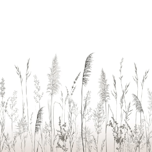 Papier peint poétique pampa, XXL, tendance