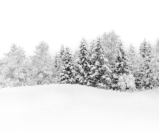 Papier peint panoramique évasion hivernale - Muralconcept