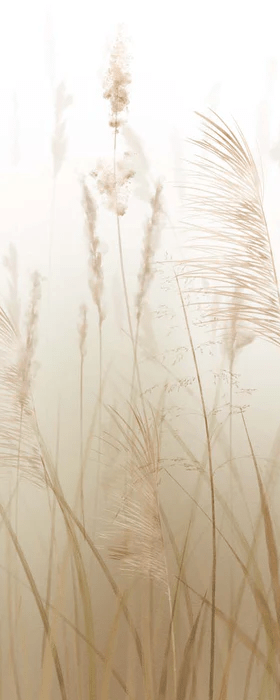 Carta da parati con fiori di campo di grano