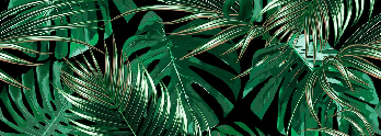 Papier peint intissé grandes feuilles vertes - Muralconcept
