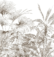 Papier peint tropical gravure monochrome - Muralconcept