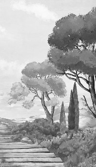 Carta da parati passeggiata nelle calanques in bianco e nero