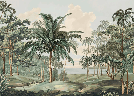 Papier peint paysage Célèbes - Muralconcept