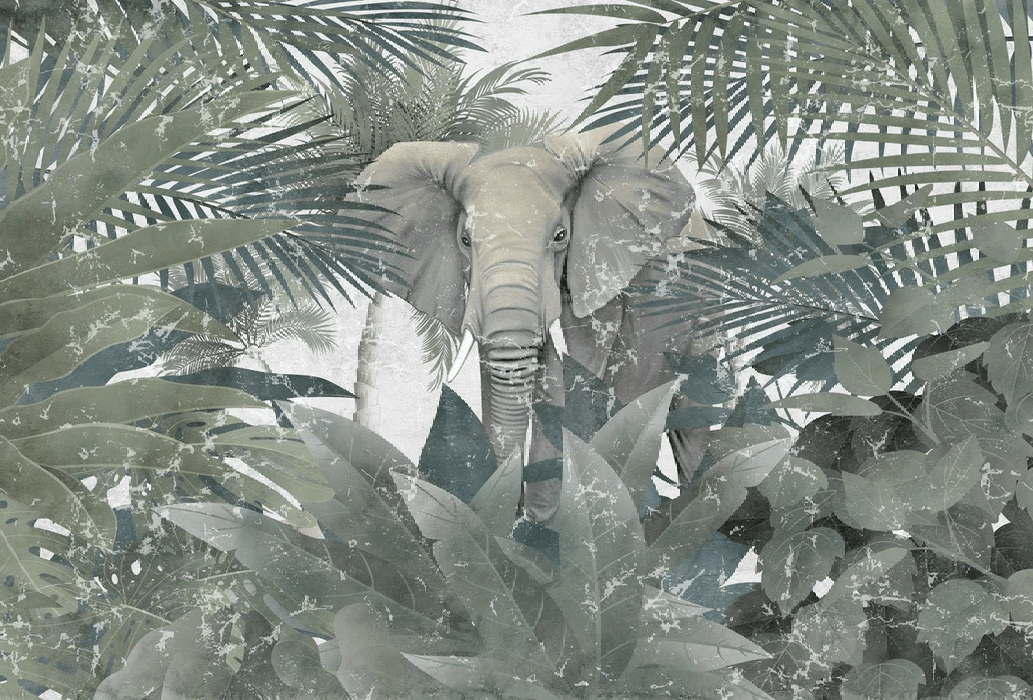 Papier peint Elephant d'Amazonie