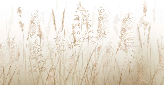 Carta da parati con fiori di campo e grano