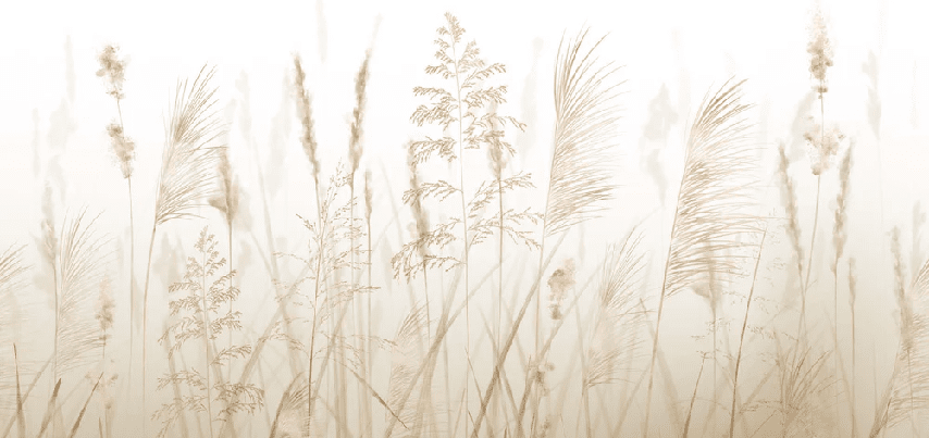 Papier peint fleur des champs de blé - Muralconcept