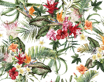 Papier peint tropical & Fleurs colorées - Muralconcept