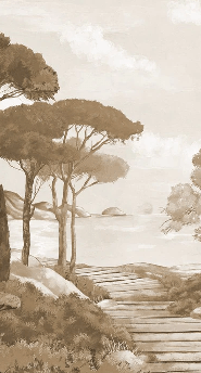 Carta da parati passeggiata nelle calanques monocromatica