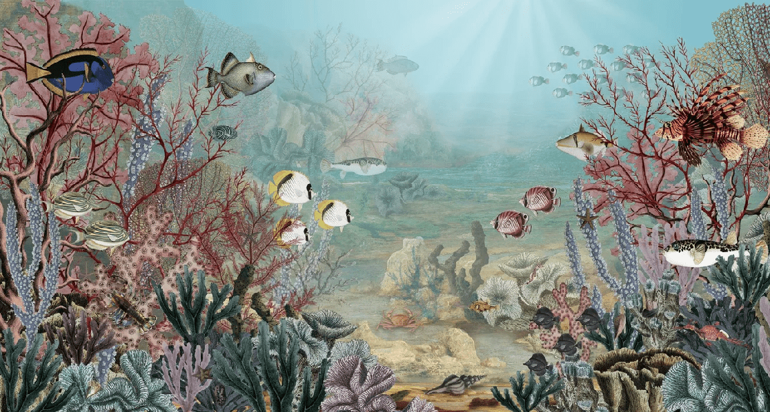 Papier peint vie sous la mer, XXL, tendance