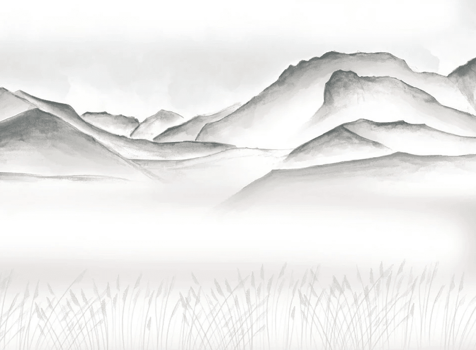 Papier peint artistique Annecy entre lac montagne GRIS - Muralconcept