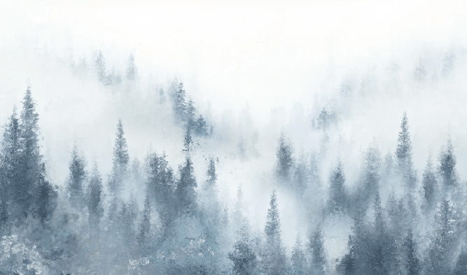 Papier peint restaurant sapin brume bleu aquarelle - Muralconcept