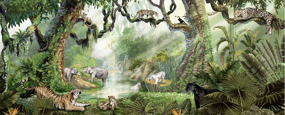 Papier peint enfant jungle secrète - Muralconcept