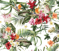 Papier peint tropical & Fleurs colorées - Muralconcept